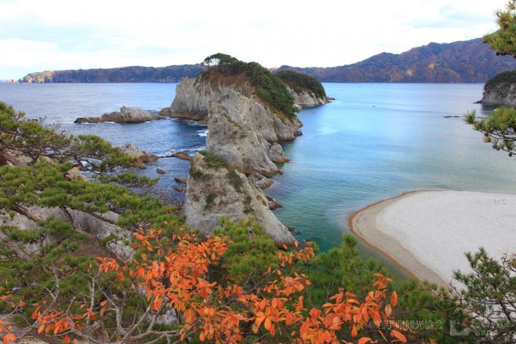 浄土ヶ浜は紅葉の秋も美しい（写真提供／岩手県観光協会）