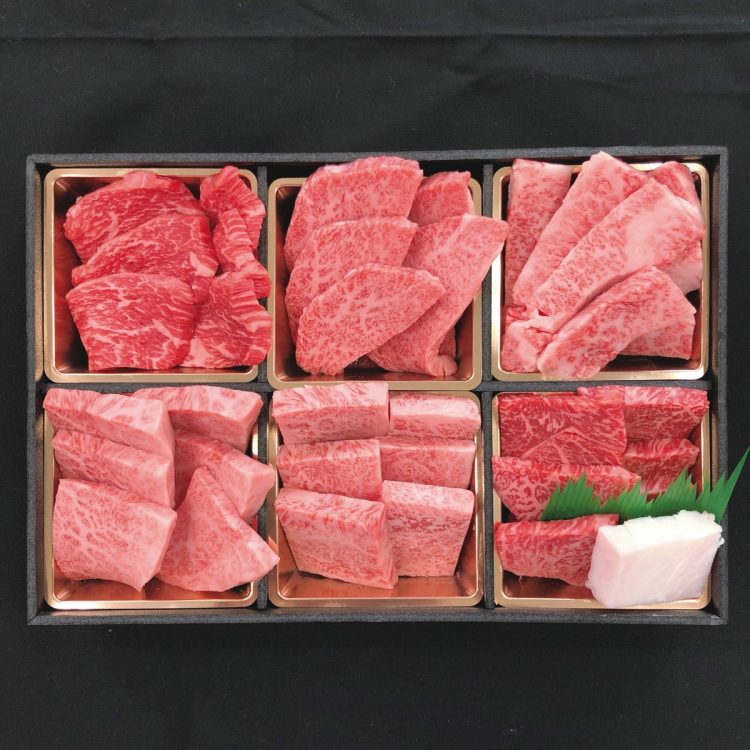A5等級 飛騨牛6種食べ比べセット 600g（100g×6）（岐阜県高山市）