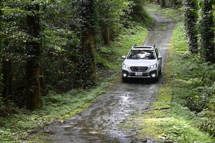 社員らが草刈りなどに入り、荒れた状態から整備したSUBARU里山スタジオ。苔や濡れて滑りやすい小道もあり、自然な走行シーンも撮影できる