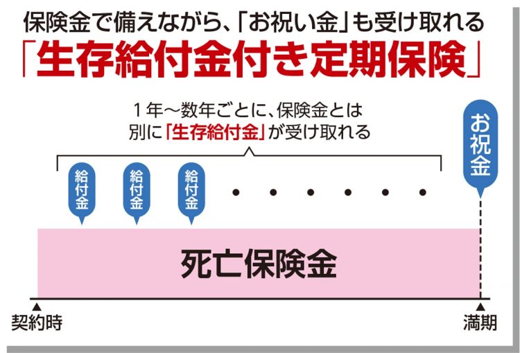 生存給付金付き定期保険の仕組み