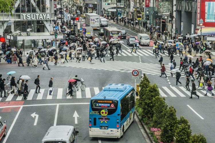 地方ナンバーの車に乗った若者たちが渋谷を目指す理由は？