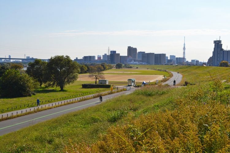 荒川の土手