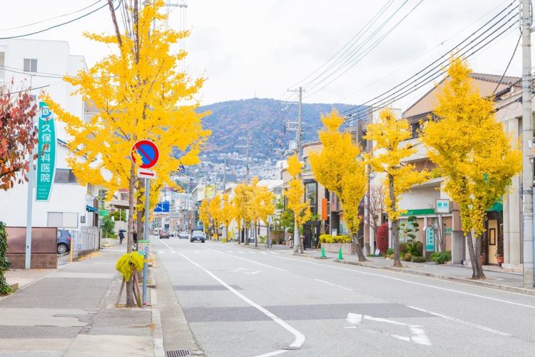 兵庫県西宮市・苦楽園では景観を守るための細かいルールが決まっている