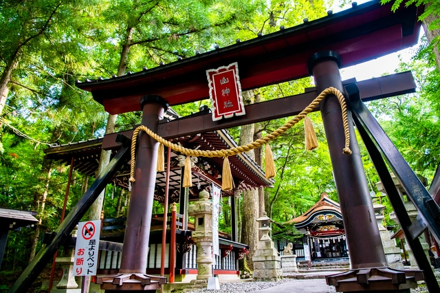 ついに誕生！日本一の金運神社新屋山神社奥宮参拝バスツアー