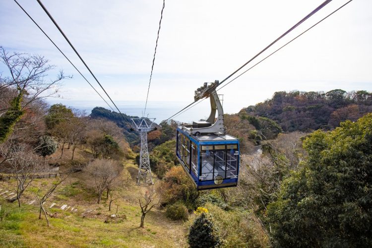 心打たれる絶景♪徳川家康公ゆかりの地《久能山東照宮》×《日本平ロープウェイ》昼食は握り寿司食べ放題＆富士山清水みなとクルーズ