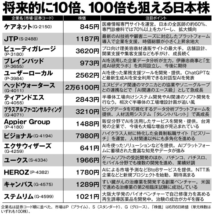 投資のプロが注目、将来的に10倍、100倍も狙える日本株銘柄29【その1】