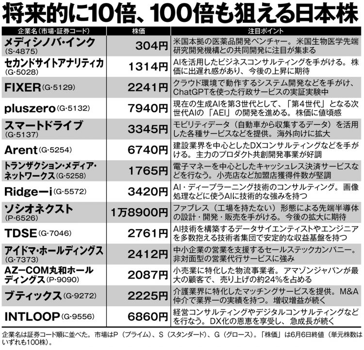 投資のプロが注目、将来的に10倍、100倍も狙える日本株銘柄29【その2】