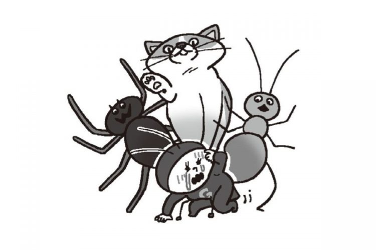 害虫三冠王・ゴキブリの知られざる謎15選　「抵抗するときに鳴き声」「白い個体の正体」「1匹いたら30匹いる？」