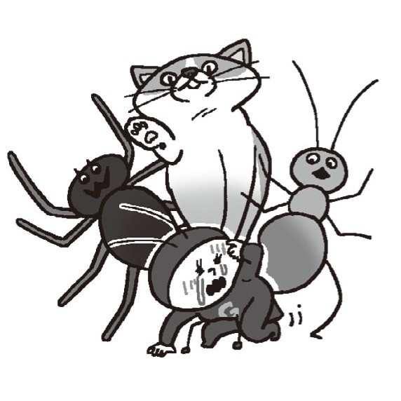 ゴキブリの天敵はクモとアリと猫と…