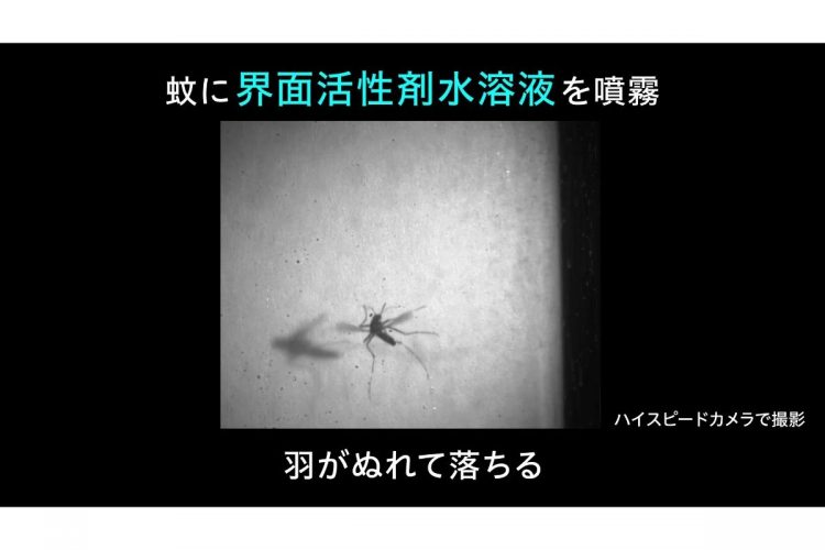 台所用洗剤などに使われる界面活性剤が蚊を撃退する（画像提供／花王）