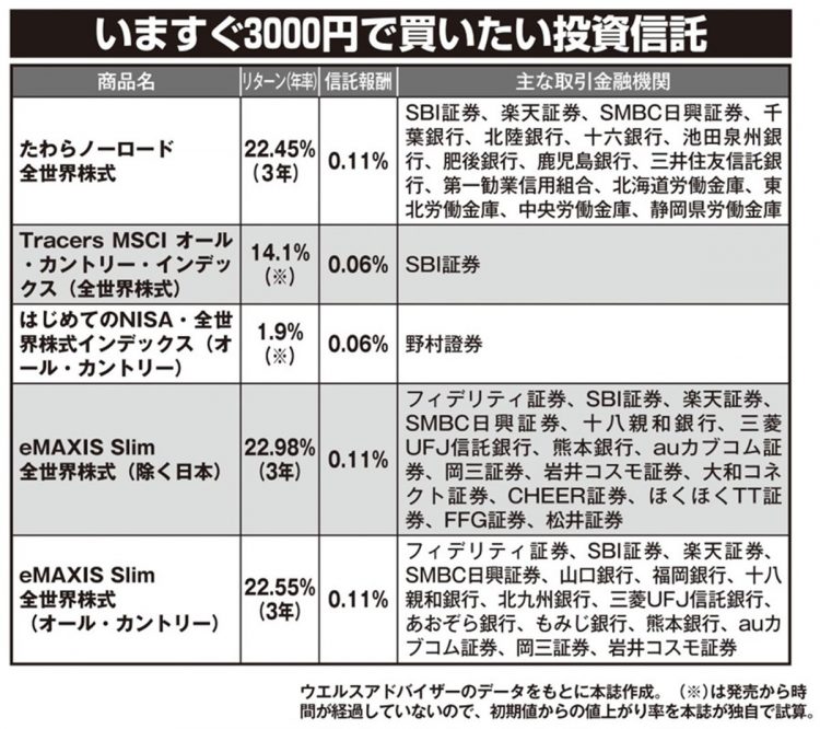 3000円で買える注目の投資信託（その1）