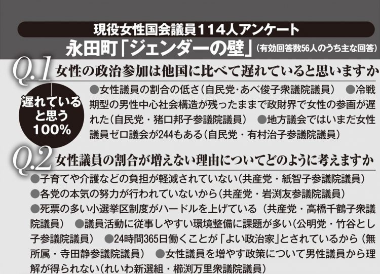 現役女性国会議員114人アンケート永田町「ジェンダーの壁」（その1）