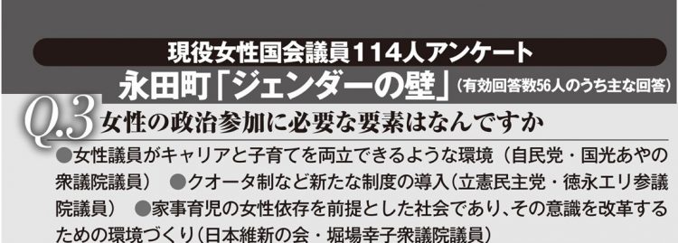 現役女性国会議員114人アンケート永田町「ジェンダーの壁」（その2）