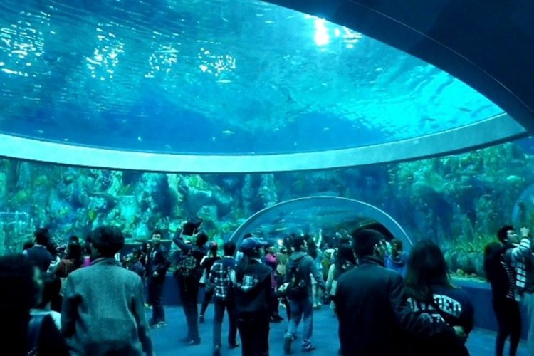 中国の水族館「珠海長隆海洋王国」でも日プラのアクリル板が使われている