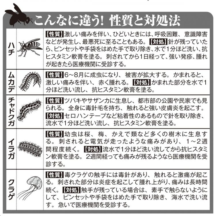 こんなに違う！毒を持つ生き物の性質と刺されたときの対処法