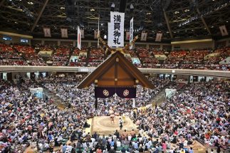 相撲協会の残業代1億円未払い騒動　職員が怒るのも無理もない「親方衆の収入事情」と「どんぶり勘定」の実態