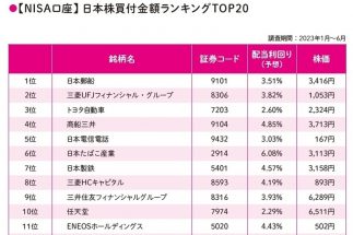 【新NISAで何を買うべきか？】NISA口座の買付金額ランキング、日本株1位は日本郵船、米国株1位はテスラ