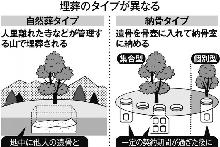 樹木葬は「里山型」と「都市型」の2種類に大別される