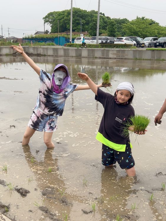 北海道の契約農家で栽培に携わり、その国産大豆を使い自身がプロデュースしたオーガニック食品を「Mariya's choice」で販売している