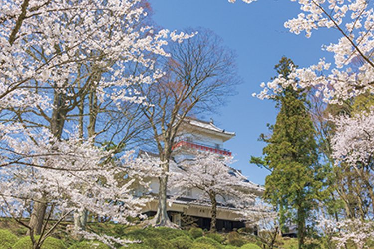 花見の名所として知られる「千秋公園」