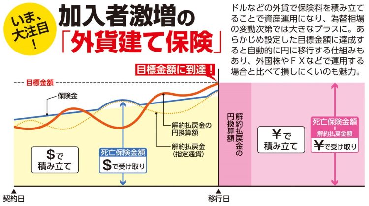 外貨建て保険の保険料と解約返戻金の相関を図解