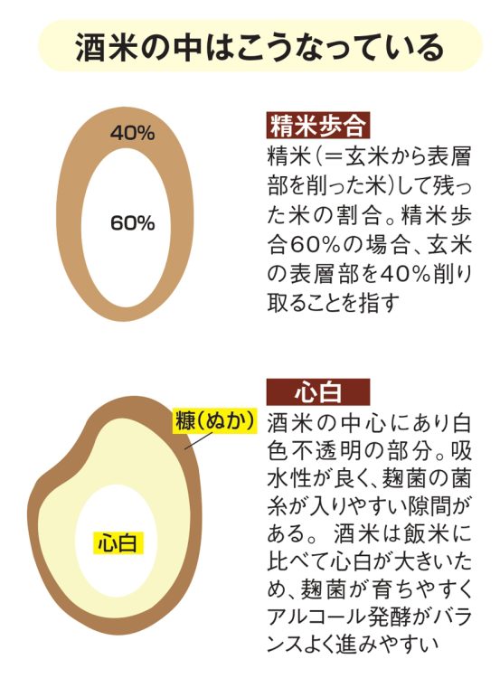 酒米の中はこうなっている