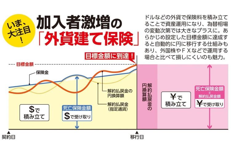 外貨建て保険の保険料と解約返戻金の相関を図解