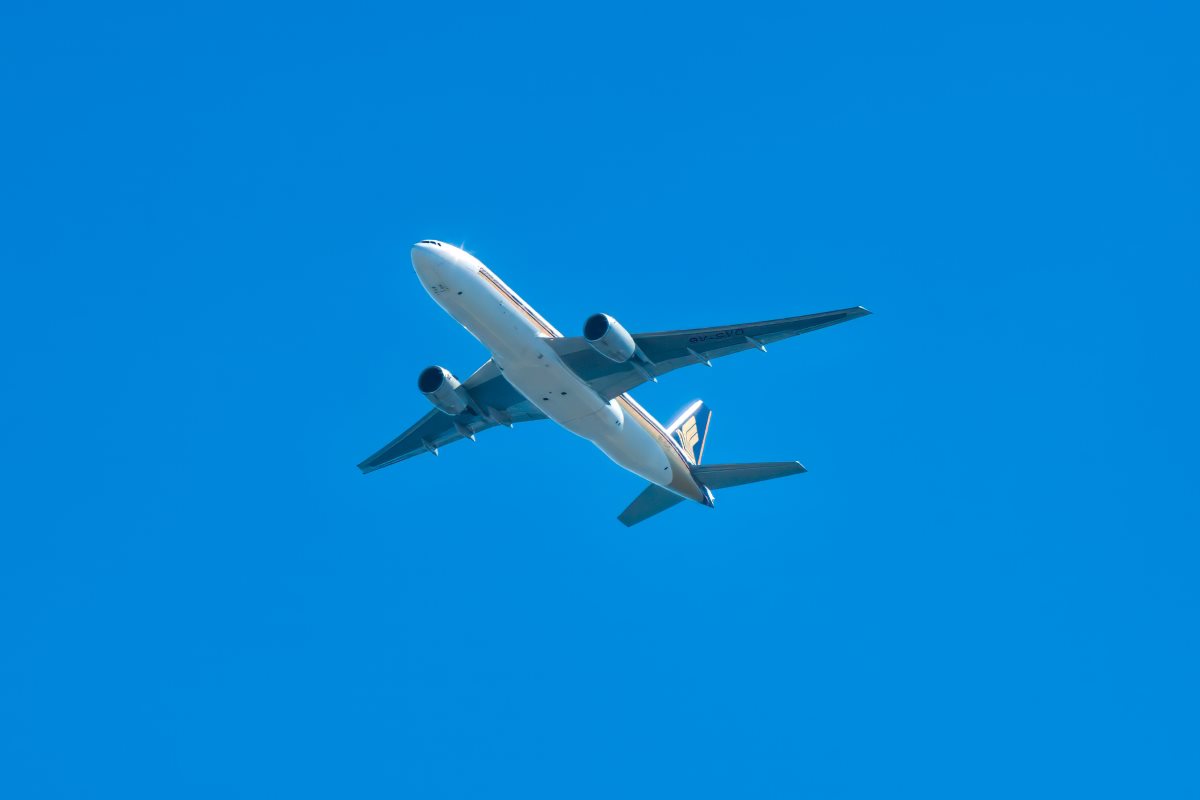 シンガポール航空の機内販売、７４７－４００の1/400モデル : 犬ジェット１１（わんわん）