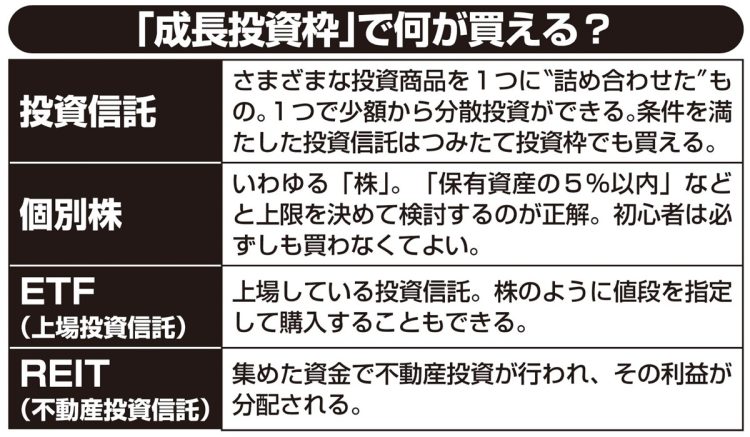 「成長投資枠」で何が買える？