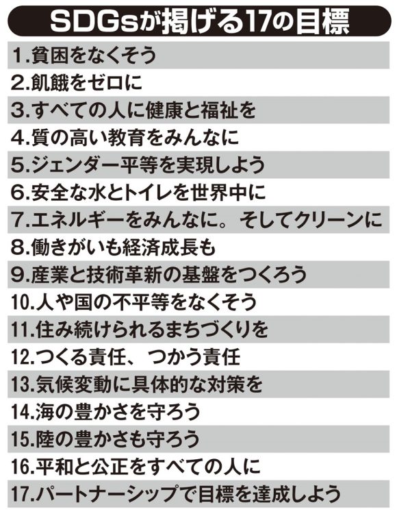 SDGsが掲げる17の目標