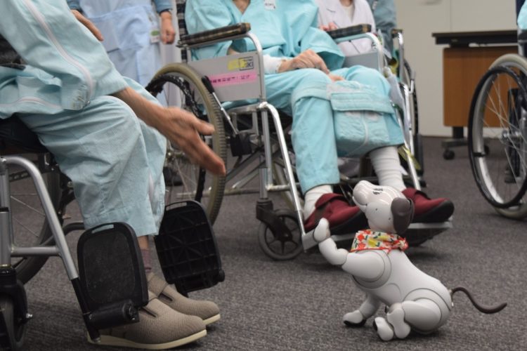 病院や介護施設でも活躍するaibo