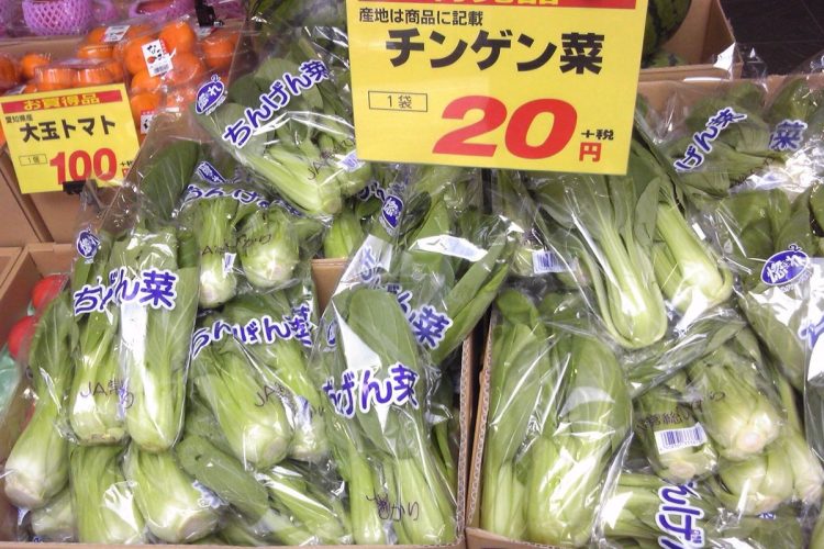 「とにかく安い食事をしなくては」と1袋20円のチンゲン菜に目が行く