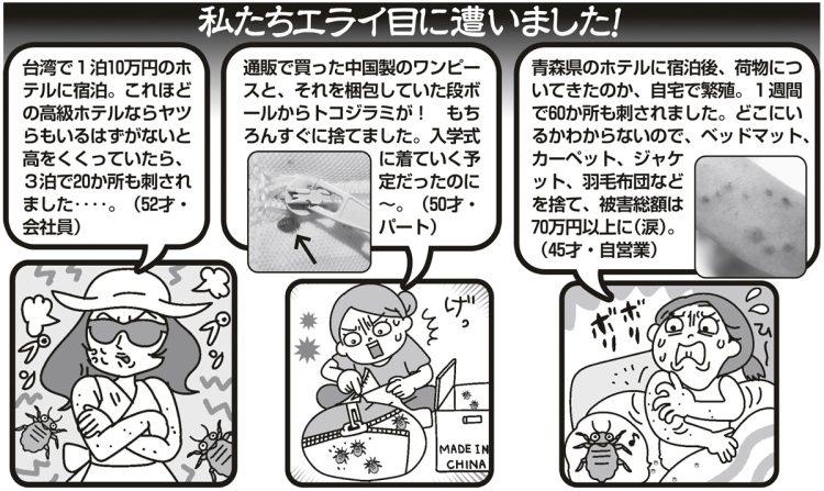 トコジラミの被害体験談