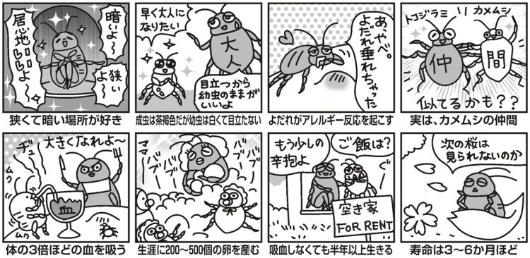 トコジラミの生態