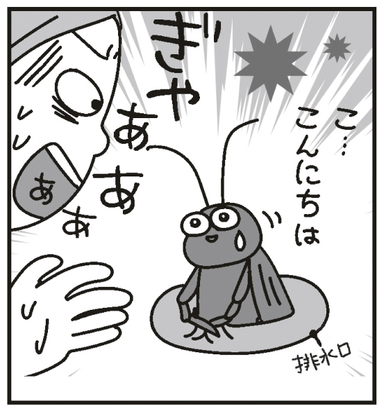 玄関や窓、排水口やエアコンの排水ドレン、換気口などの侵入経路をつぶす（イラスト／藤井昌子）