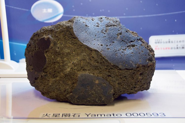 2025年「火星の石」／今回日本館が展示するのは世界最大級の『火星の石』。日本の南極地域観測隊が2000年に南極で発見し、数万年前に地球に飛来したとされる。ラグビーボール大で重さ12.7kg。水や生命の起源の解明に役立つと期待されている（時事通信フォト）