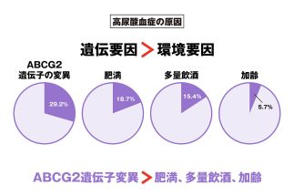 腎機能にも悪影響を及ぼす「高尿酸血症」は遺伝子変異や暴飲暴食・肥満などが発症要因に　治療の基本は生活習慣の改善、2020年には新薬も保険承認【専門医が解説】