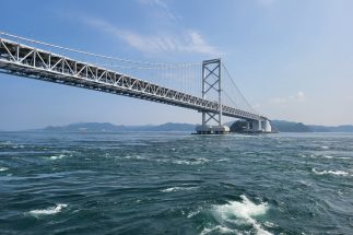 大阪・関西万博に行った人は関西から徳島までの高速バス・フェリーが500円に！最大91％割引で超お得な「徳島県ワンコインキャンペーン」の詳細と活用術
