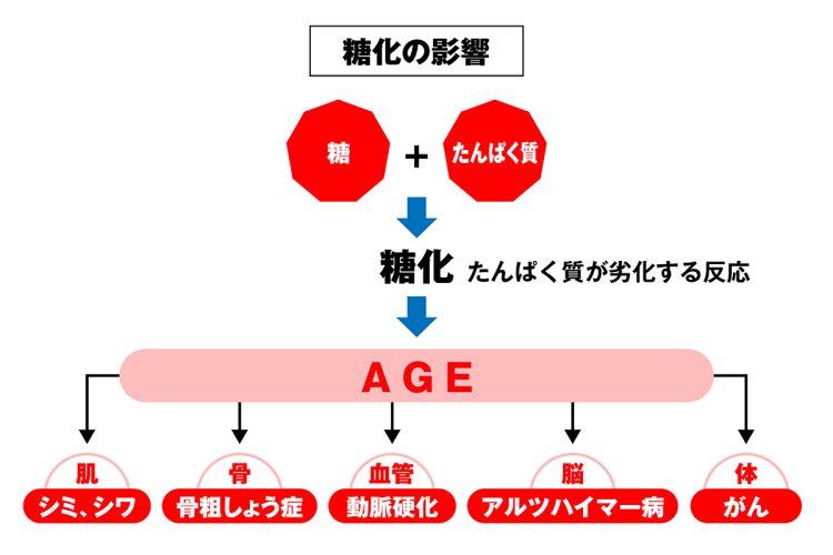 体内でAGEが増えると、様々な老年病のリスクが高まる
