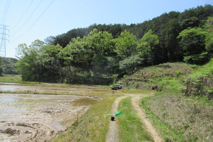 田植えはなかなかの重労働だ