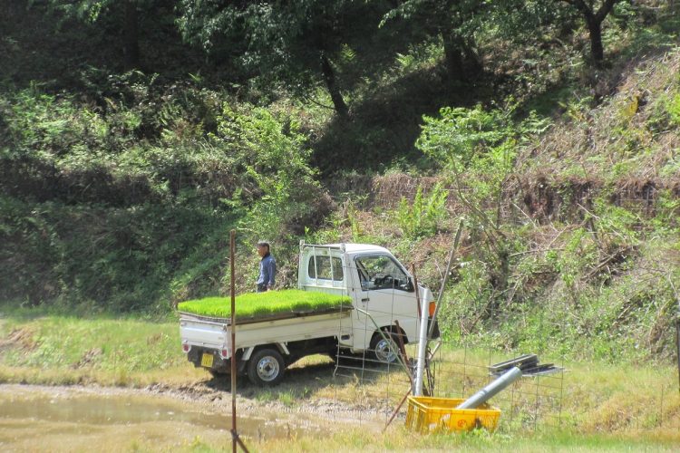 2台の軽トラをフル稼働