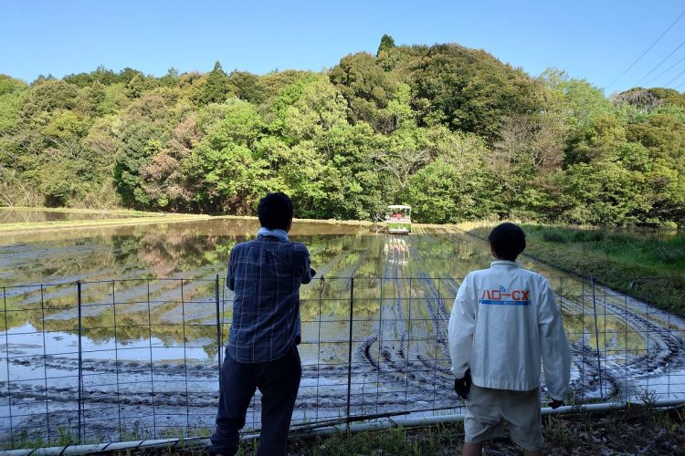 筆者も田植えを手伝って、いかに稲作が重労働かがわかった