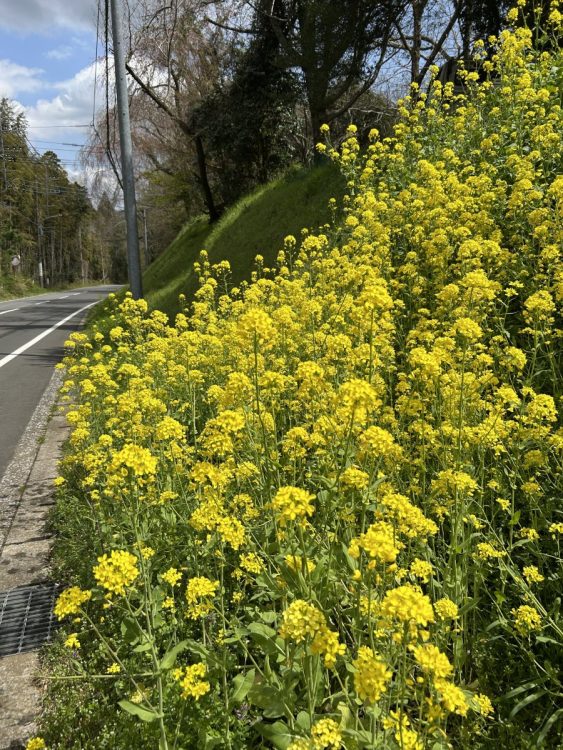 久留里駅から1.6kmを歩いてレストランへ