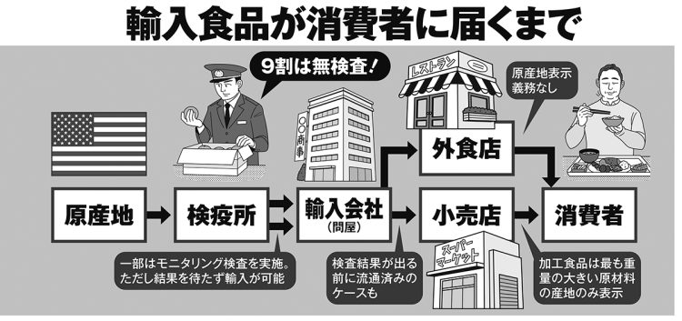 輸入食品が消費者に届くまで（イラスト／河南好美）
