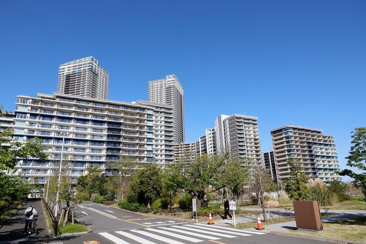 いま「晴海フラッグ」で何が起きているのか（撮影／木村圭司）
