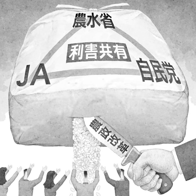 「農政トライアングル」の構造を壊す農政改革とは（イラスト／井川泰年）