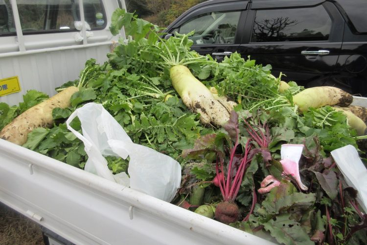 筆者が知人からもらった大量の野菜