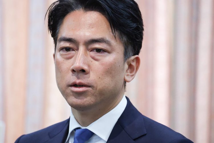 小泉進次郎・農水相が打ち出した施策はコメ価格下落につながるのか(時事通信フォト)