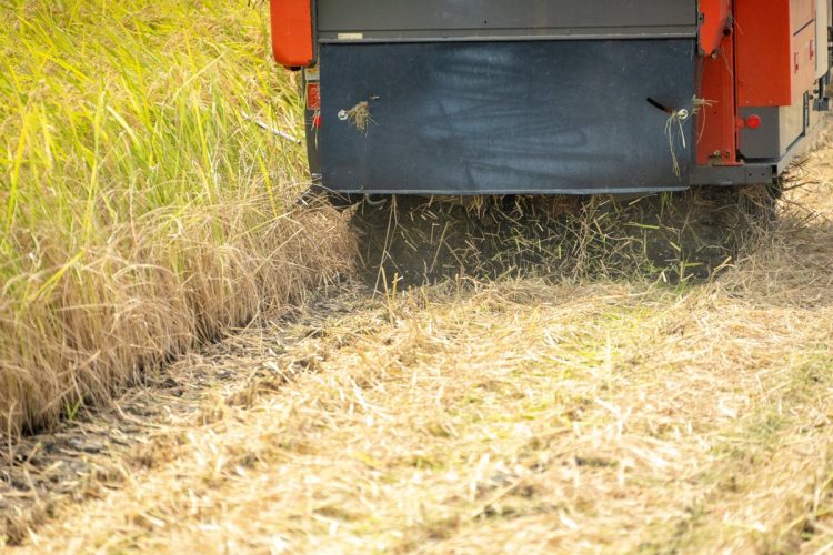 出荷先をJAから大手商社に乗り換えると、何が変わるのか(写真:イメージマート)