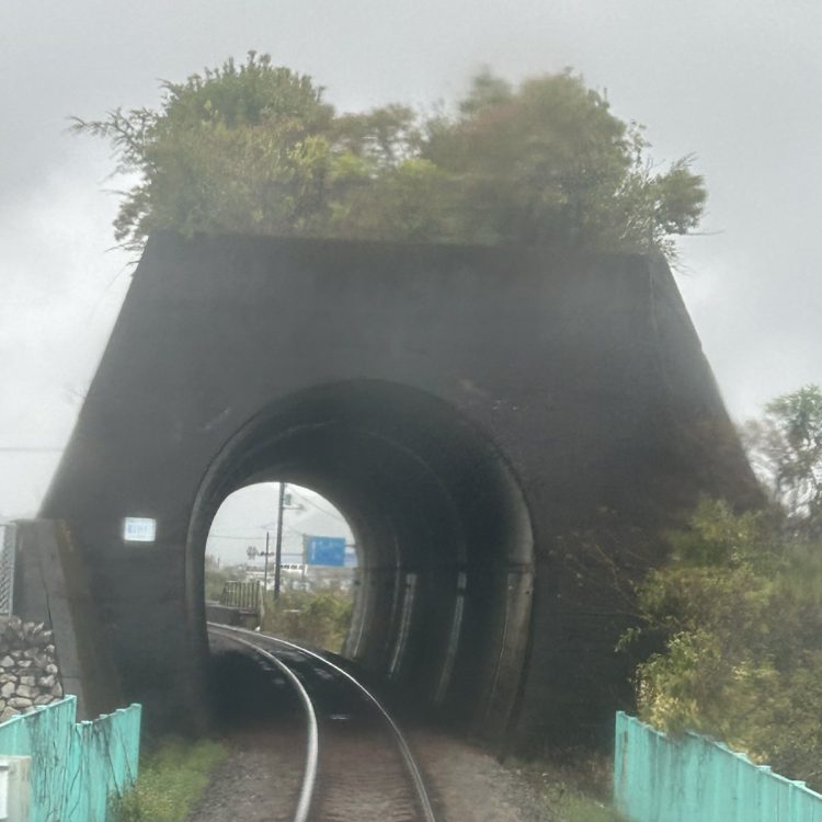 海部駅近くにある町内（まちうち）トンネルは長さ44ｍ。もともとは普通の短いトンネルだったが、周辺の宅地造成がすすみ、この部分のみ取り残されてしまった